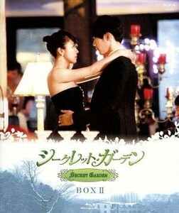 シークレット・ガーデン　ブルーレイ　ＢＯＸ　II（Ｂｌｕ－ｒａｙ　Ｄｉｓｃ）／ハ・ジウォン,ヒョンビン,ユン・サンヒョン