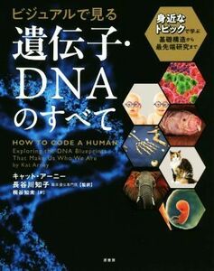 ビジュアルで見る遺伝子・ＤＮＡのすべて 身近なトピックで学ぶ基礎構造から最先端研究まで／キャット・アーニー(著者),長谷川知子(訳者),