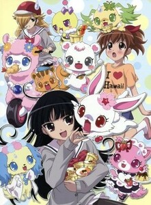 ジュエルペット　サンシャイン　ＤＶＤ－ＢＯＸ１／藤田まり子（キャラクターデザイン）,齋藤彩夏（ルビー）,沢城みゆき（ラブラ、晶子）,