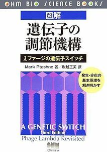 図解　遺伝子の調節機構 λファージの遺伝子スイッチ／ＭａｒｋＰｔａｓｈｎｅ【著】，堀越正美【訳】