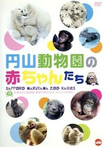 札幌市円山動物園 開園６０周年記念オフィシャルＤＶＤ 円山動物園の赤ちゃんたち ＳＡＰＰＯＲＯ ＭＡＲＵＹＡＭＡ ＺＯＯ ＢＡＢＩ