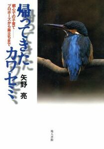 帰ってきたカワセミ 都心での子育て　プロポーズから巣立ちまで／矢野亮(著者)