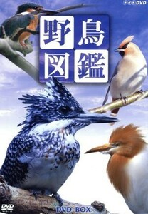 野鳥図鑑　ＤＶＤ－ＢＯＸ／（ＢＧＶ）