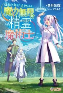 穢れた血だと追放された魔力無限の精霊魔術士 ツギクルブックス／冬月光輝(著者),てんまそ(イラスト)