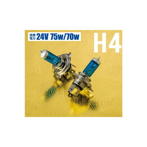 トラック用品 花魁 閃光 H4 ハロゲンバルブ 白龍 24V 75/70W ホワイト 5500K 2個入 OKH10-H4-55