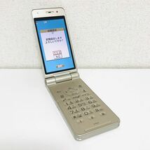 美品　DoCoMo P-01E Panasonic ガラケー FOMA 初期化済 ネットワーク利用制限〇　ネコポス発送 i6353_画像1