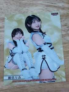 BBM女子プロレスカード2022　No.64　辰巳リカ