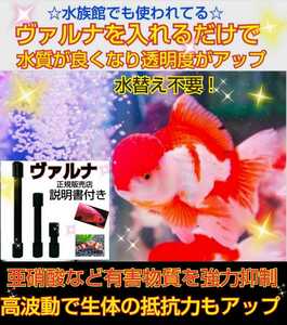 水槽の水質改善に！【ヴァルナミニ23センチ】有害物質を強力抑制！病原菌や感染症を防ぎ透明度が抜群に！水槽に入れるだけ☆水替え不要に！