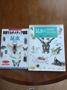 昆虫図鑑とかいかたそだてかた