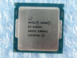 1LHI // Intel Xeon E3-1220 V5 3GHz SR2CQ Skylake-S R0 Socket1151(LGA) // NEC Express5800/T110h-S 取外 //在庫1