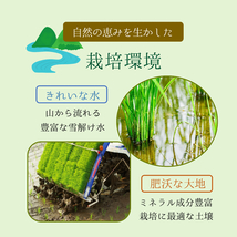 米 お米 20kg つや姫 山形県産 送料無料 玄米 白米 特別栽培米 令和3年産 _画像6