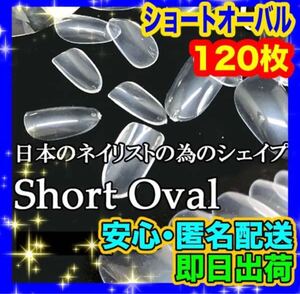 ネイルチップ透明クリア ショートオーバル