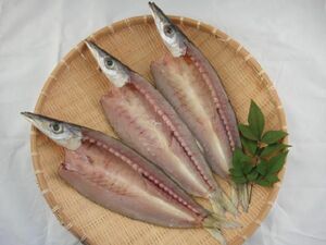 干物 かます 【中】　3枚セット　食べやすいサイズです　