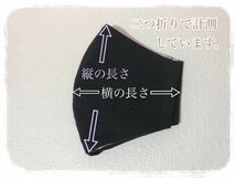 424＊花柄ラッセルレース＊3枚セット＊立体マスクカバー＊インナーマスク＊ハンドメイド＊大人用＊女性用_画像10