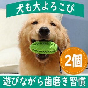 安心の匿名配送　お得な２個セット【世界で大ヒット】犬の歯磨き　おもちゃ　知育グッズ　犬のストレス発散　しつけ　デンタルケア　A３