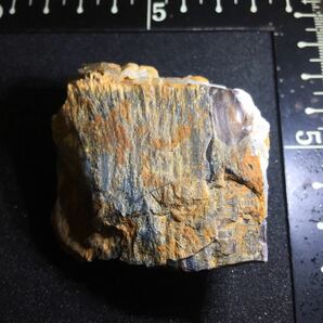 瑪瑙まみれの珪化木 国産鉱物標本 木の化石 玉髄 水晶 碧玉の画像2