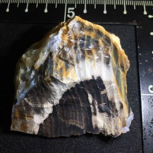 瑪瑙まみれの珪化木 国産鉱物標本 木の化石 玉髄 水晶 碧玉