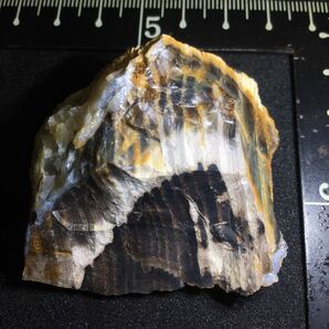 瑪瑙まみれの珪化木 国産鉱物標本 木の化石 玉髄 水晶 碧玉の画像1