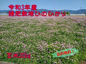 令和３年10月収穫　こだわり緑肥栽培　奈良県産ヒノヒカリ玄米20kg 　農家直送 【送料無料、無料精米可】