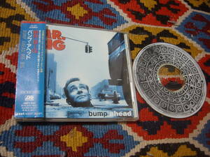 90's MR. BIG (CD)/ バンプ・アヘッド BUMP AHEAD AMCY-550 1993年