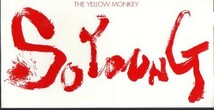 ◆8cmCDS◆THE YELLOW MONKEY/SO YOUNG/ニュースステーション_画像1