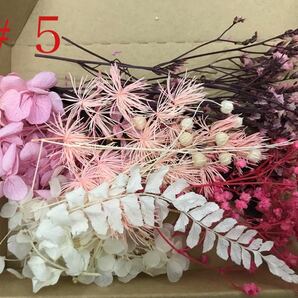 在庫処分　#5 花材セット　素材　ハンドメイド材料 プリザーブドフラワー ハーバリウム花材 アジサイ