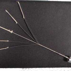 送料無料! トーチファンケーンシルバー銀 新品 激安 マジック 手品 gold