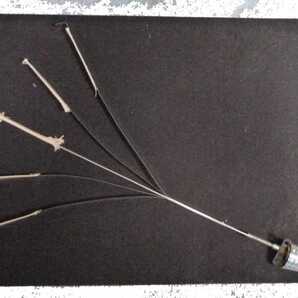 送料無料! トーチファンケーン黒 新品 激安 マジック 手品 gold