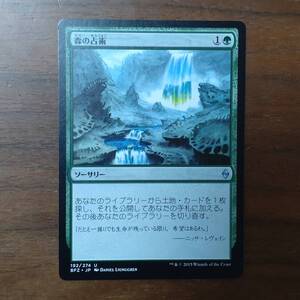 MTG/森の占術/戦乱のゼンディカー/アンコモン/1枚/中古品