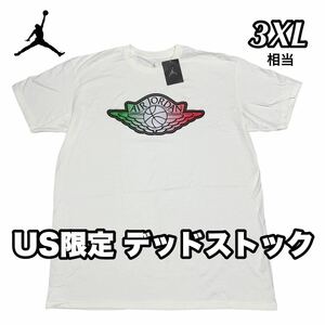 NIKE ナイキ エアジョーダン ウィングロゴ デッドストック Tシャツ 限定D