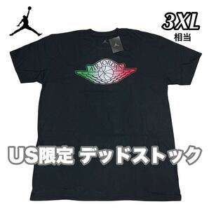 NIKE ナイキ エアジョーダン ウィングロゴ デッドストック Tシャツ 限定B