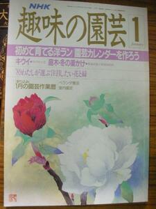 oe●NHK趣味の園芸 昭和64年1月号●洋ラン