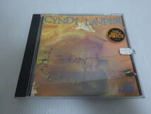未使用に近い シンディ・ローパー CYNDI LAUPER TRUE COLORS CD_画像1