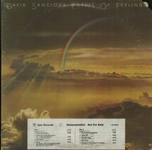 75年 US Epic プロモ白lbl. David Sancious / Forest Of Feelings [KE33441] Jazz Fusion Billy Cobham Bruce Springsteen 変拍子 [VOX6]_画像1