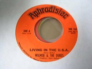●FUNK45●WILMER AND THE DUKES/LIVING IN THE USA
