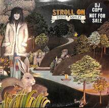 245889 STEVE ASHLEY / Stroll On(LP)_画像1