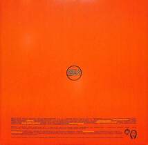 246592 SUPER FURRY ANIMALS / Radiator(LP)_画像3