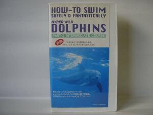 2941 Dolphin * swim * guide video Part.2 dolphin 