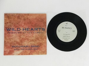 佐野元春 WILD HEARTS