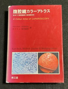 §Y54 腹腔鏡カラーアトラス 生体での腹腔臓器の病理解剖学 定価32000円 南江堂