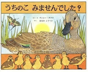 うちのこ　みませんでした？／ナンシー・タフリ(著者),はるみこうへい(訳者)