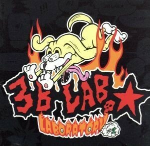 ＬＡＢＯＲＡＴＯＲＹ　＃１／３Ｂ　ＬＡＢ．☆