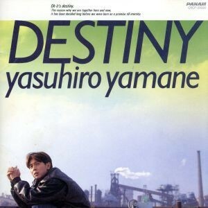 ＤＥＳＴＩＮＹ／山根康広