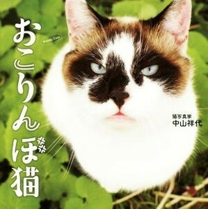  photoalbum .. rin . cat | Nakayama . fee ( author )