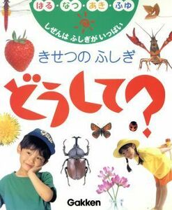 きせつのふしぎ　どうして？ しぜんはふしぎがいっぱい　はる・なつ・あき・ふゆ／自然・環境