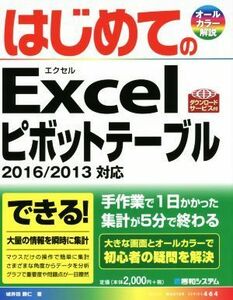  start .. Excel pivot table 2016|2013 correspondence BASIC MASTER SERIES464| castle . rice field ..( author )
