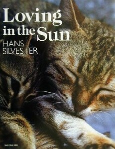 Ｌｏｖｉｎｇ　ｉｎ　ｔｈｅ　Ｓｕｎ／ハンスシルベスター(その他)