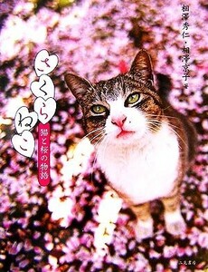 さくらねこ 猫と桜の物語／相澤秀仁，相澤京子【著】