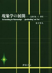 現象学の展開 「言語行為」と〈事実〉／金子淳人(著者)