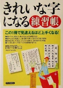 きれいな字になる練習帳 この１冊で見違えるほど上手くなる！／園田愛山(著者)